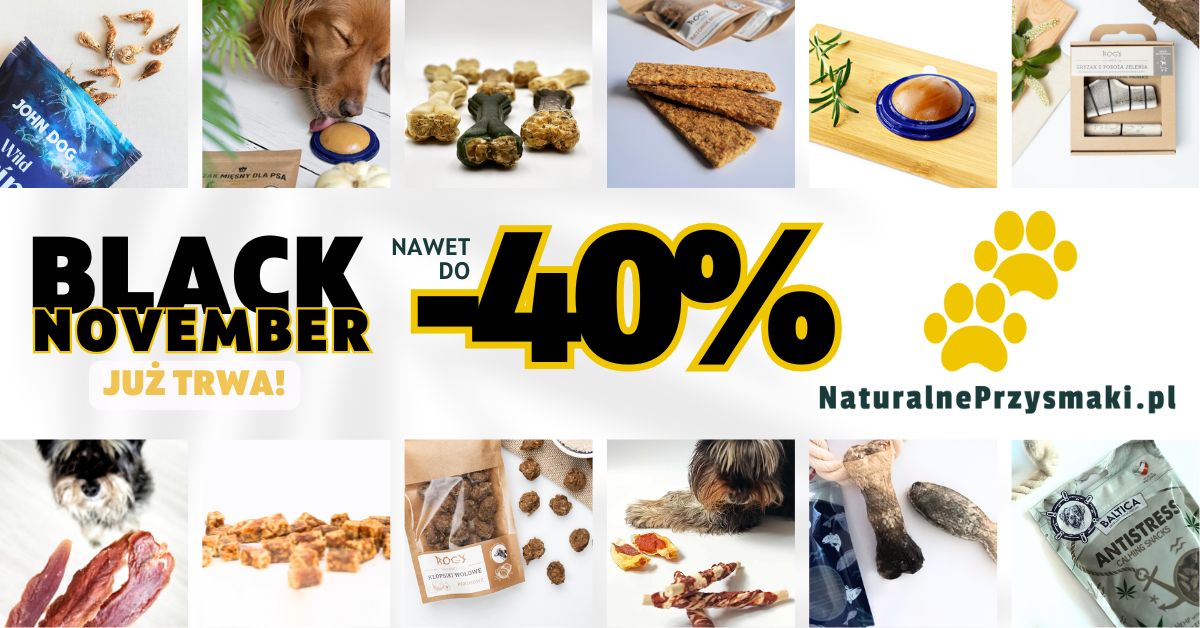 Black Friday dla psa 2025: Wyjątkowe Promocje na Naturalne Przysmaki!